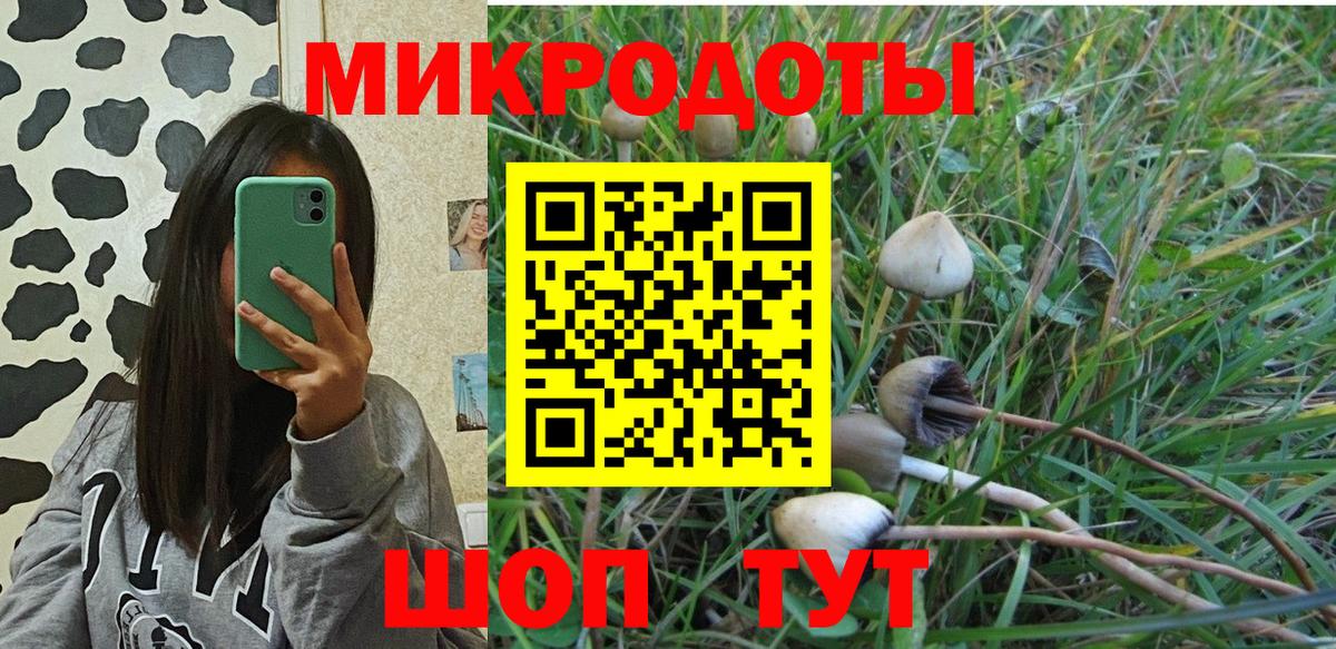 Галлюциногенные грибы ЛСД Кохма